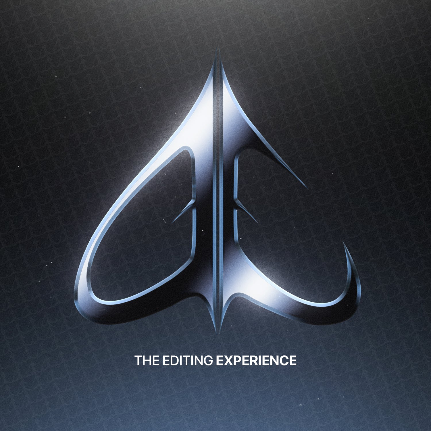 The Editing Experience