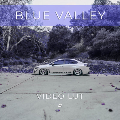 Blue Valley LUT [FREE]