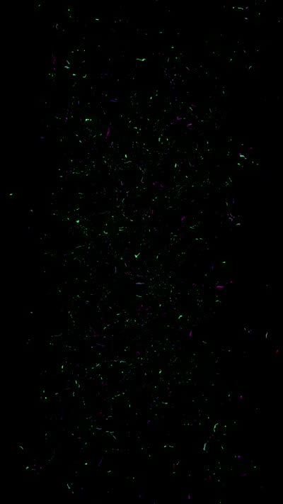 VFX preview