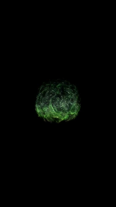 VFX preview